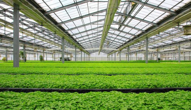 种业商务网 现代种业发展的数字化引擎