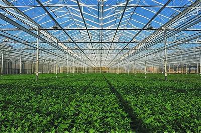 德丰种业加盟条件与要求详解