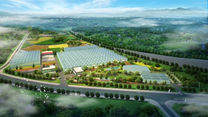 加强国际交流合作，推进花卉种业再上新台阶