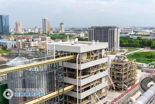 江海粮油张家港产业园二期榨油厂顺利投产，年产96万吨助力种业与粮油产业链协同发展