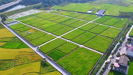 袁创超级稻 引领“十三五”种业创新的科技丰碑